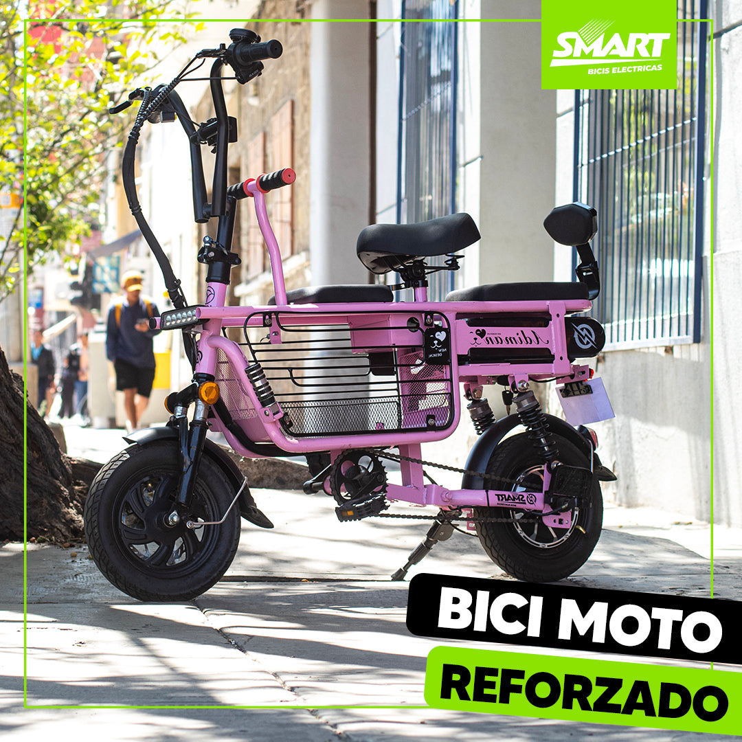 Bici Moto eléctrica + Baulera especial para mascotas