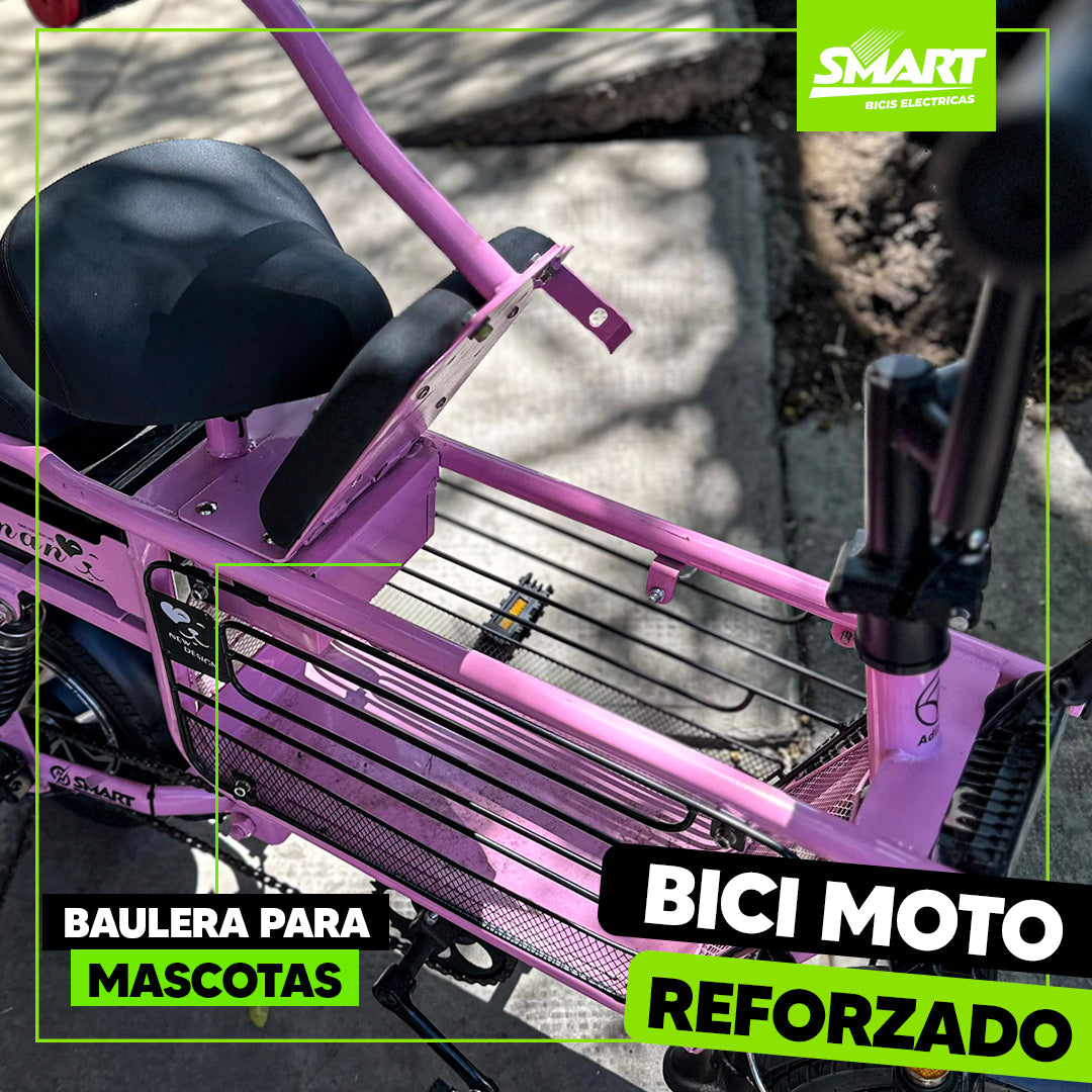 Bici Moto eléctrica + Baulera especial para mascotas