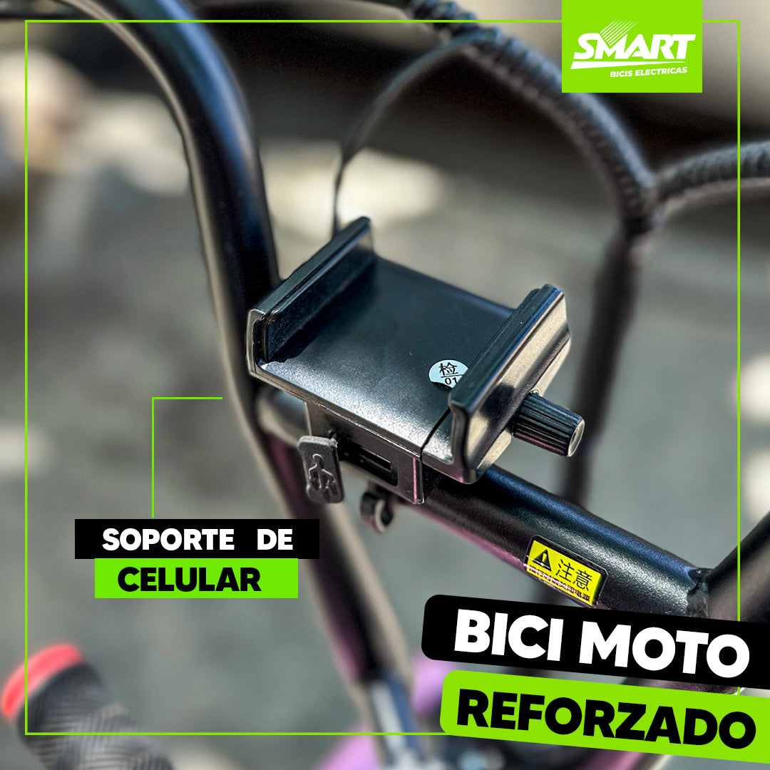 Bici Moto eléctrica + Baulera especial para mascotas