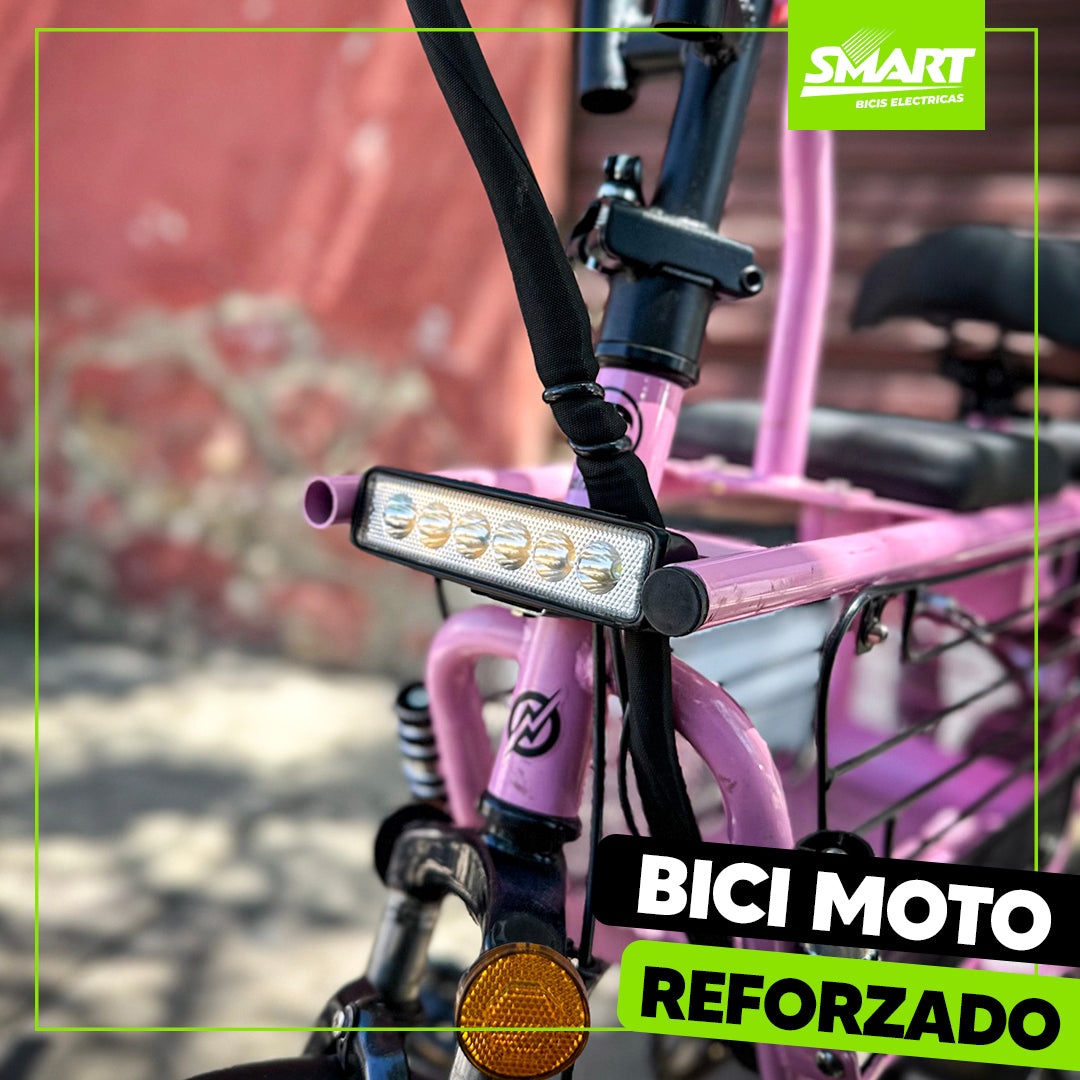 Bici Moto eléctrica + Baulera especial para mascotas
