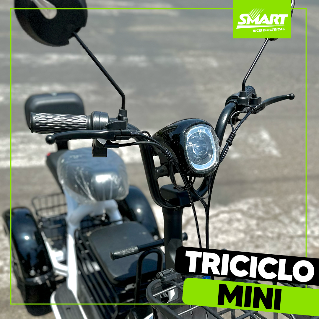 Triciclo Mini Eléctrico 600W