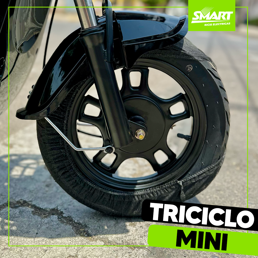 Triciclo Mini Eléctrico 600W