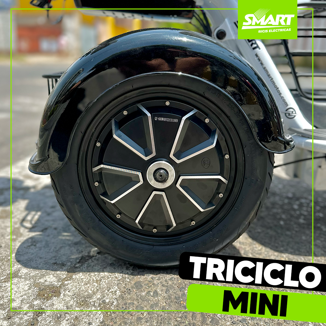 Triciclo Mini Eléctrico 600W