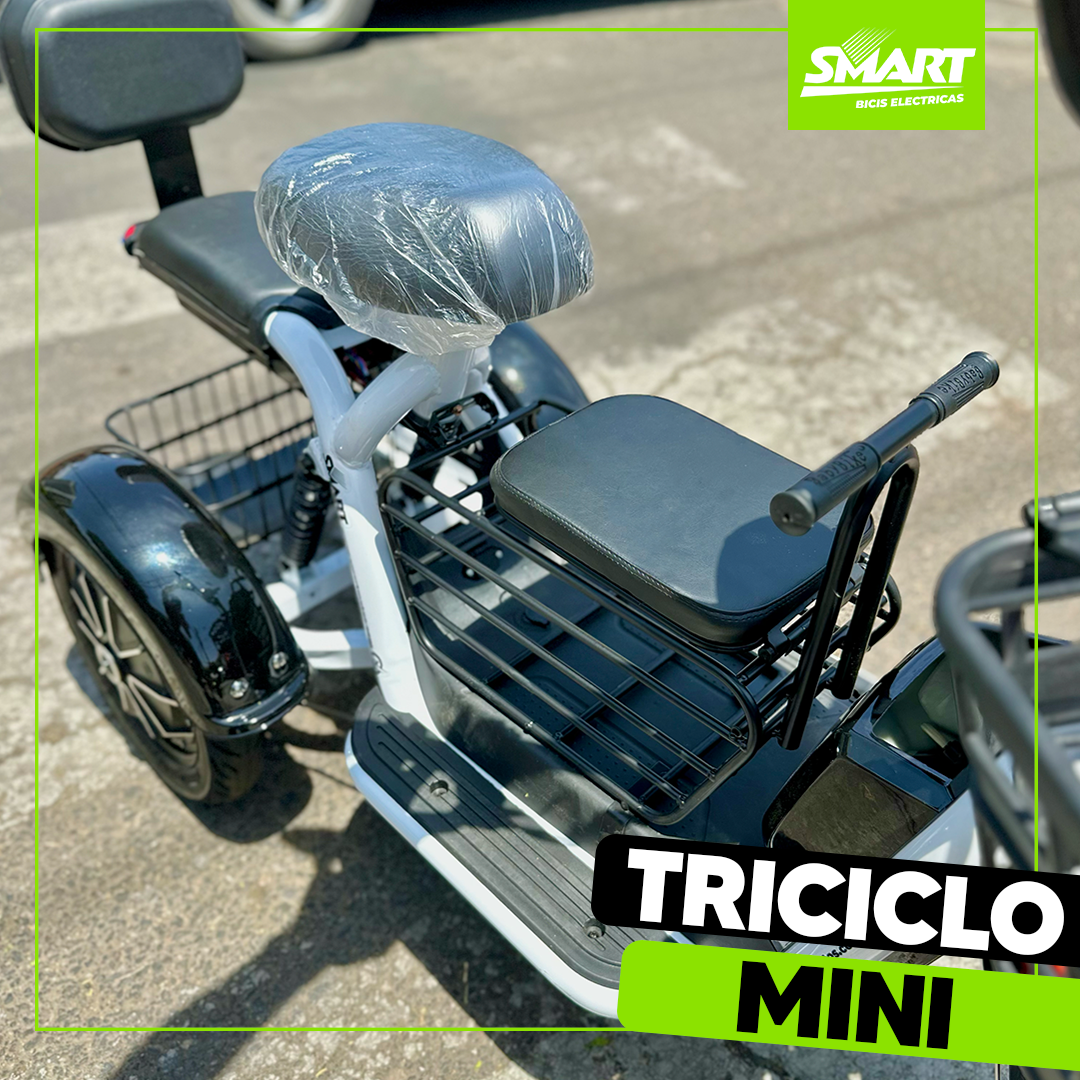 Triciclo Mini Eléctrico 600W