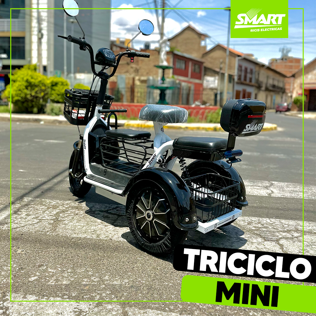 Triciclo Mini Eléctrico 600W