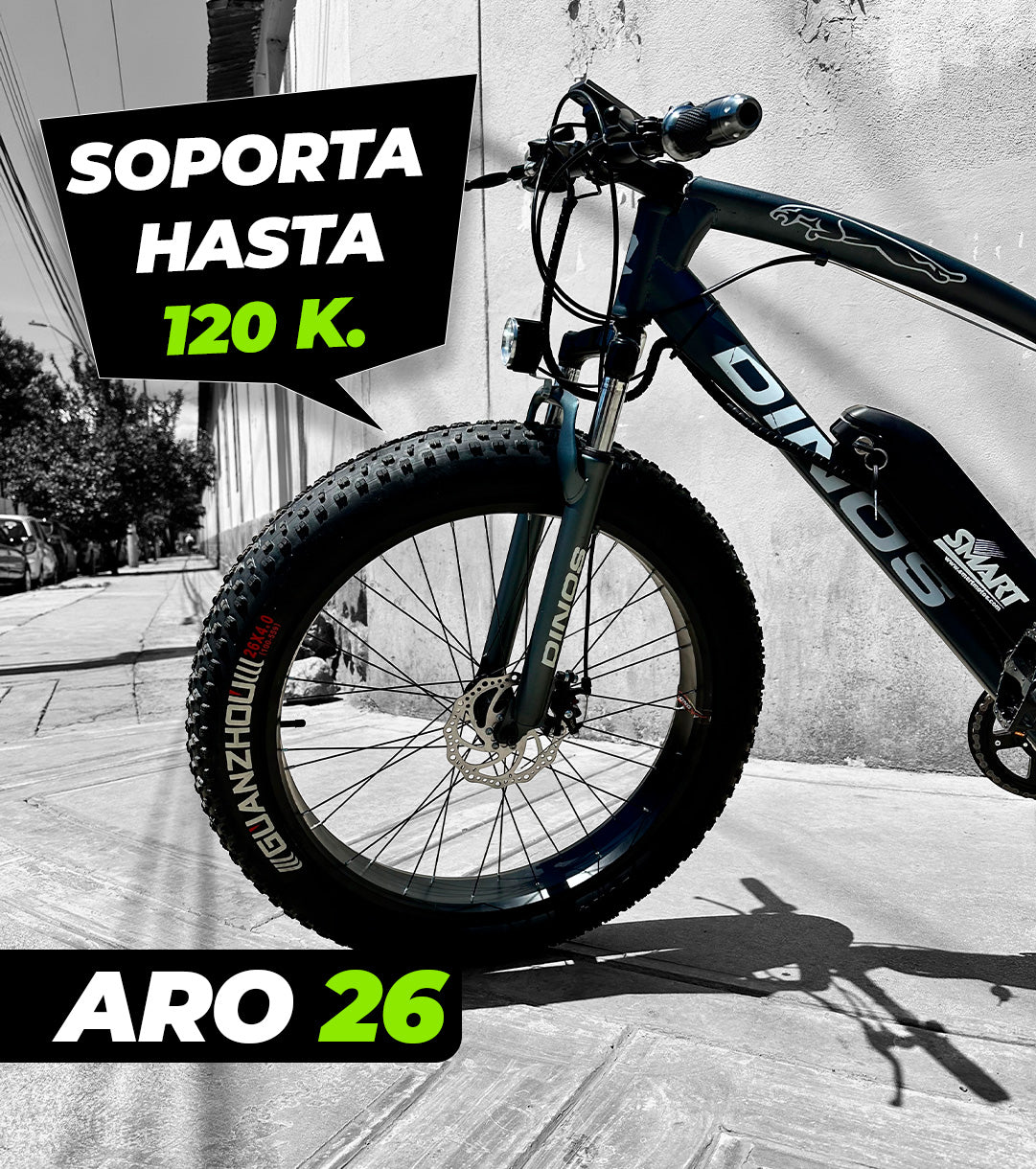Bicicleta Fat Aro 26