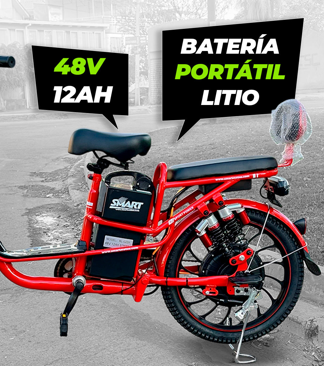 Bici Eléctrica Clásica  Pro V1