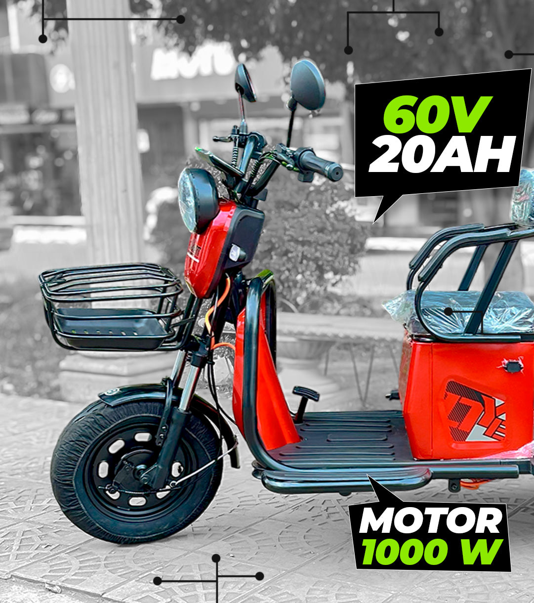 TRIMOTO METÁLICA 1000W