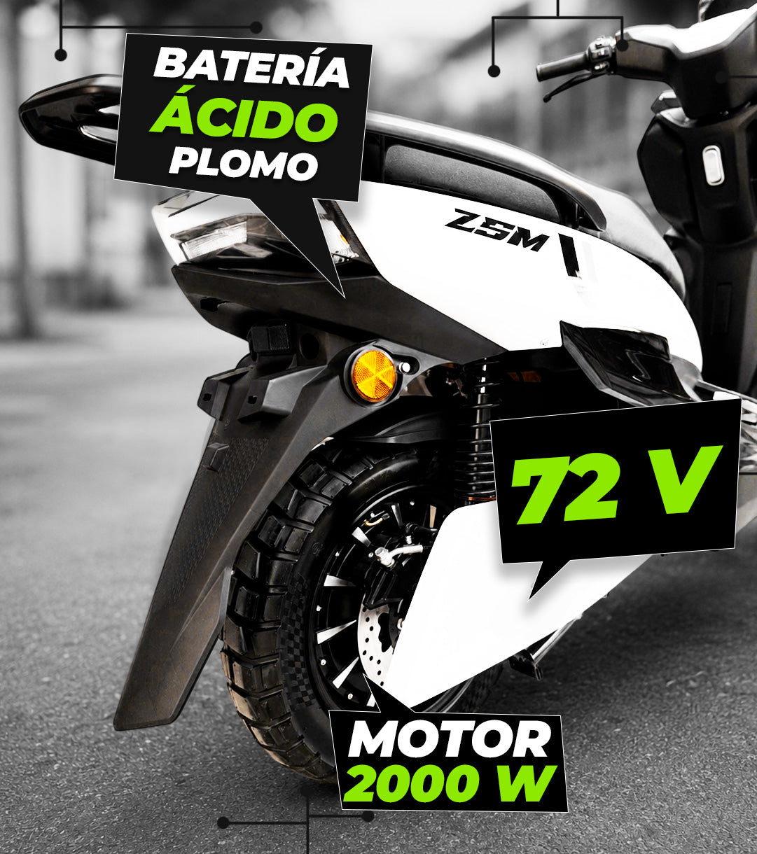 Moto Shark