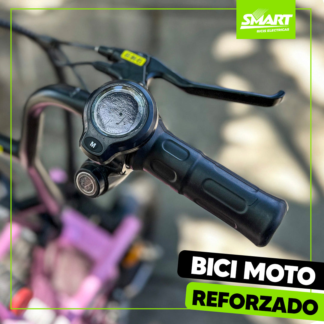 Bici Moto eléctrica + Baulera especial para mascotas