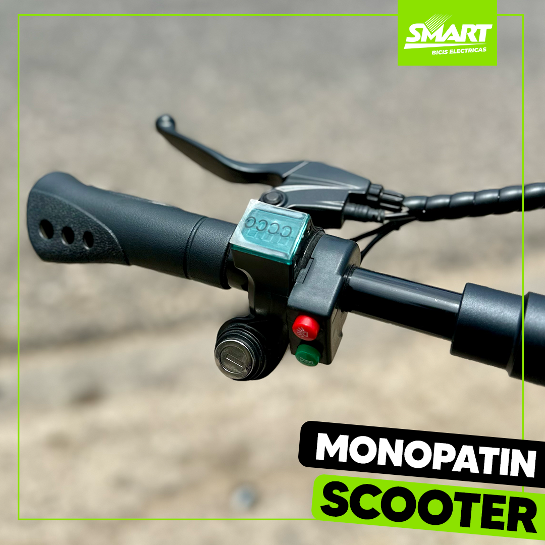 Monopatin Scooter 2000W