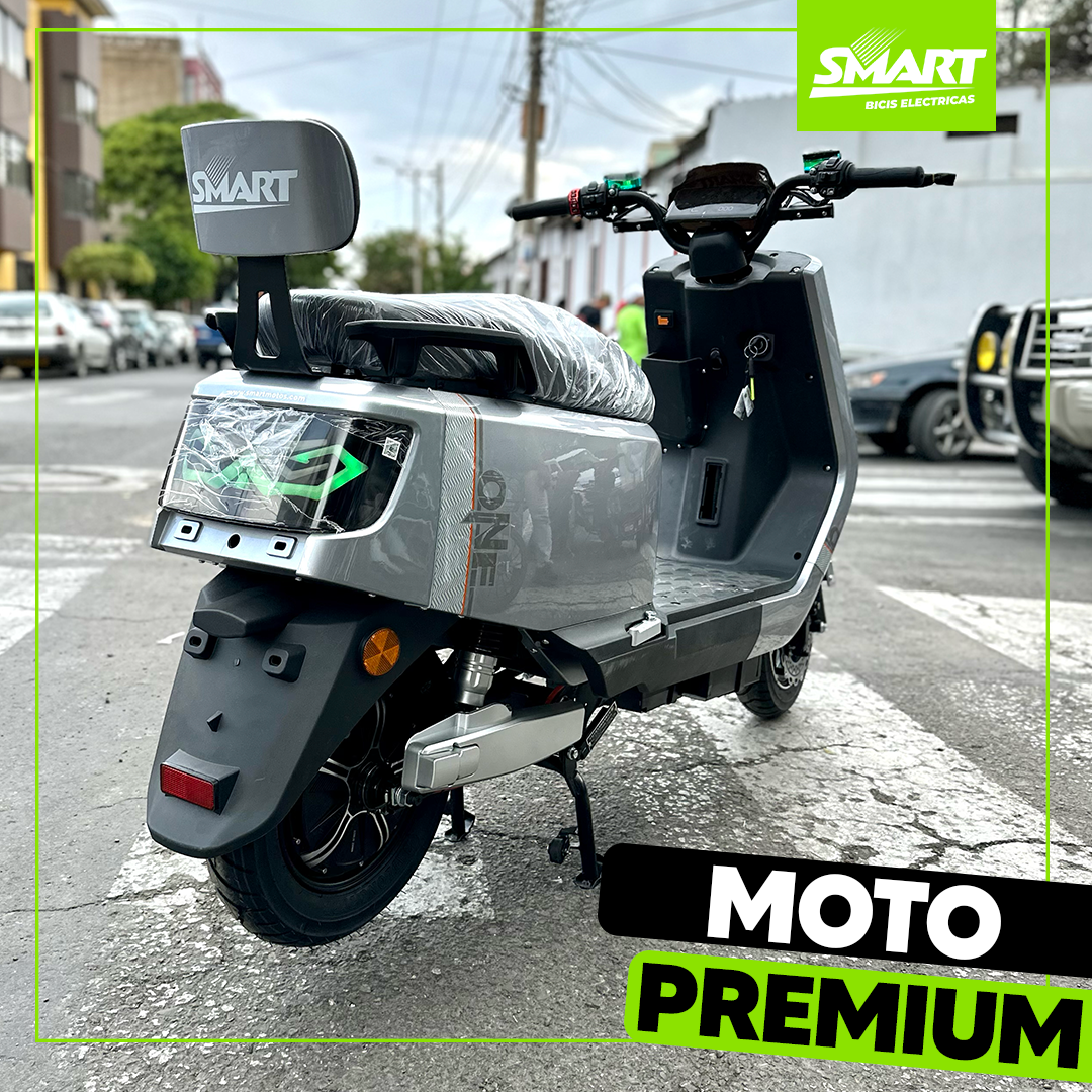Moto eléctrica Premium 1000W