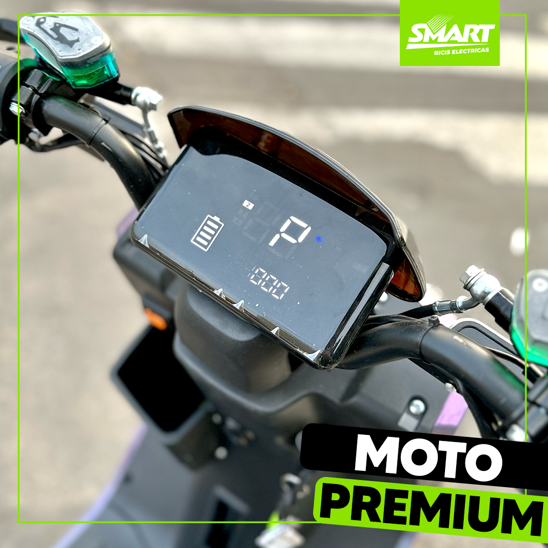 Moto eléctrica Premium 1000W