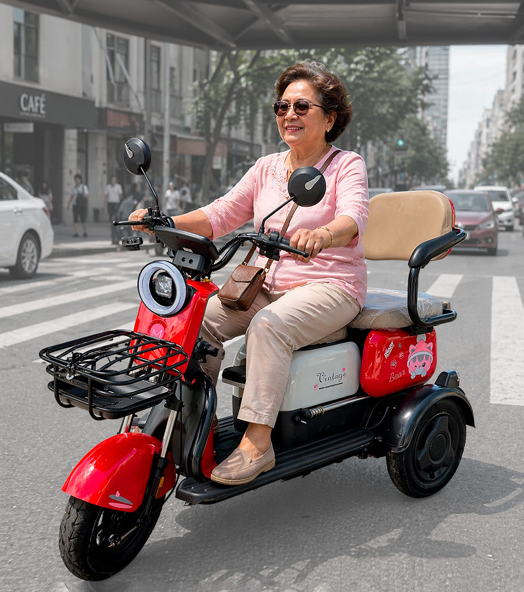 Trimoto Vintage (1000 W)