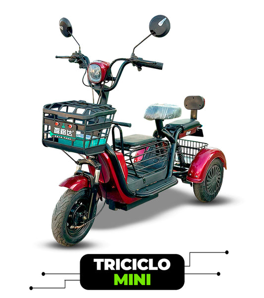 Triciclo Mini Eléctrico 800w