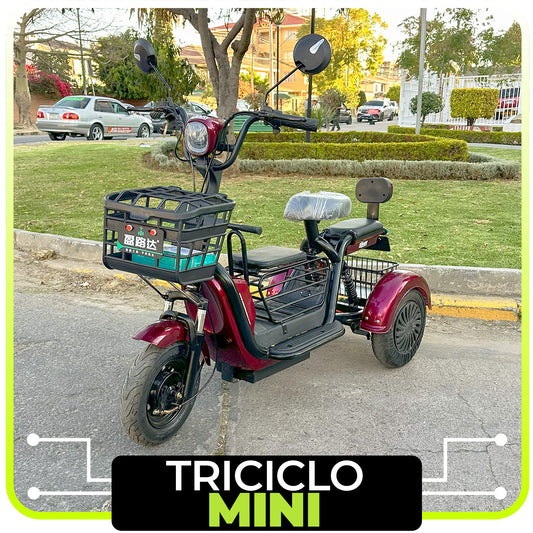 Triciclo Mini Eléctrico 800w