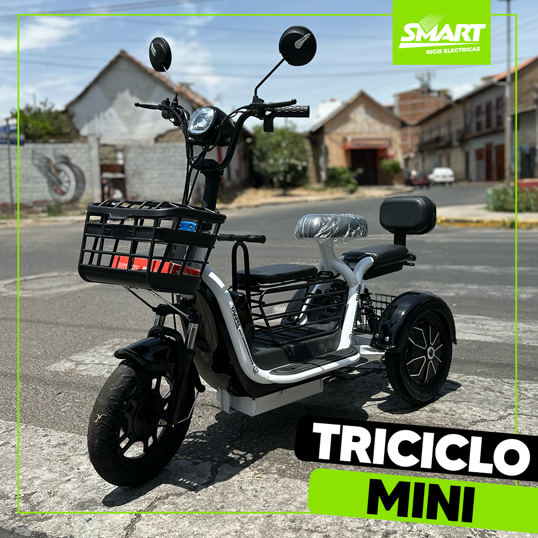 Triciclo Mini Eléctrico 600W