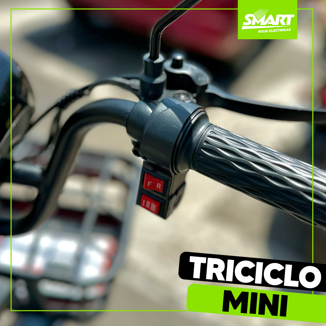 Triciclo Mini Eléctrico 600W