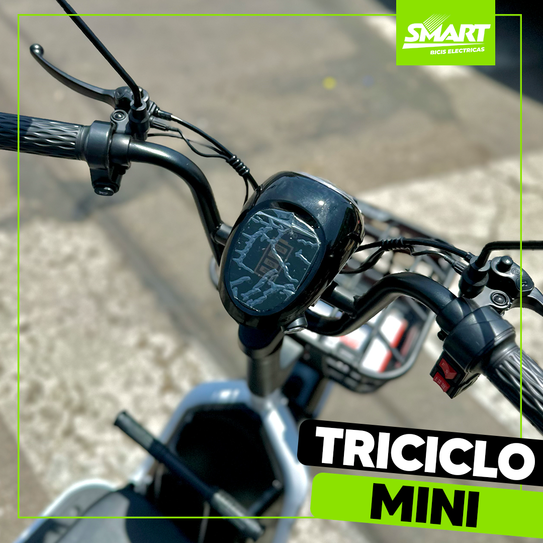 Triciclo Mini Eléctrico 600W